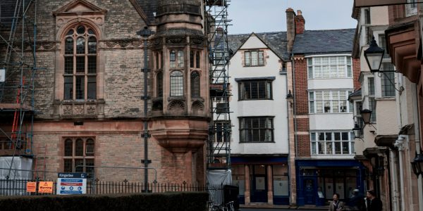 luna-bear-lRSZcW5lpcs-unsplash